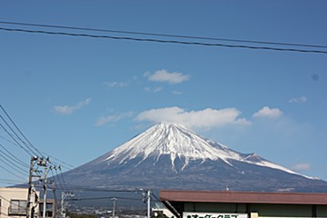 1262329657