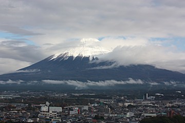 1290508550