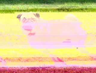 1368783238
