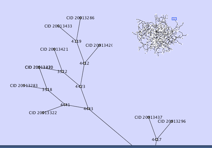 cytoscape zoom