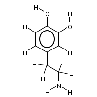 dopamine