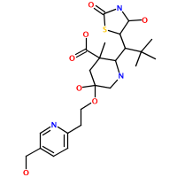 piogli10